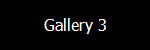 Gallery 3