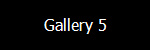 Gallery 5